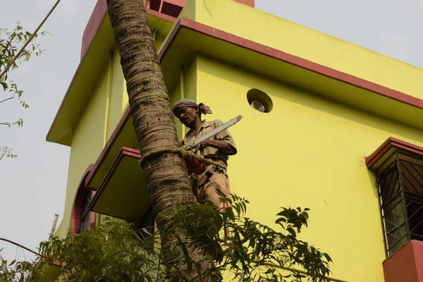 Kolkata West Bengalen India Februari 2021 Een Houthakker Die Een — Stockfoto