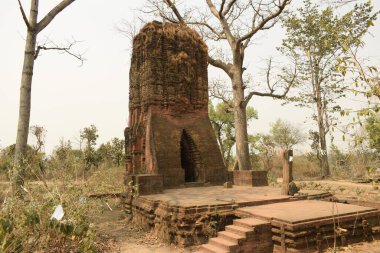 Deulghata 'daki antik Jain tapınağı, purulia, Batı Bengal, Hindistan