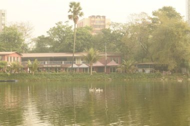 Sabah rabindra Sarobar Gölü, Kolkata, Batı Bengal, Hindistan