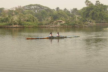 İki kürekçi rabindra sarobar gölünde kürek çekiyor, kolkata, batı bengal, Hindistan