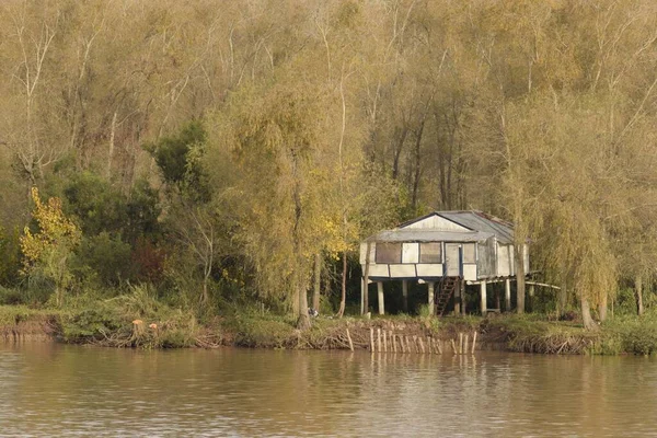 Parana Nehri Nin Kıyısındaki Ormanlıkta Bir Kulübe Arjantin — Stok fotoğraf