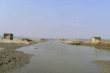 Matla Nehri, konserve, Batı Bengal yakınlarındaki sığ estuarine çamuru.