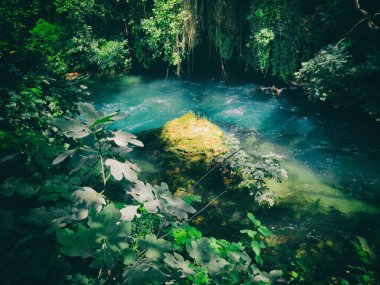 Hindi, Antalya, Şelale. Türkiye 'nin güzel şelaleleri keyiflidir..