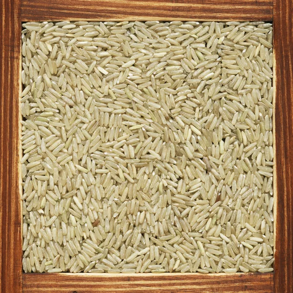 Arroz — Fotografia de Stock