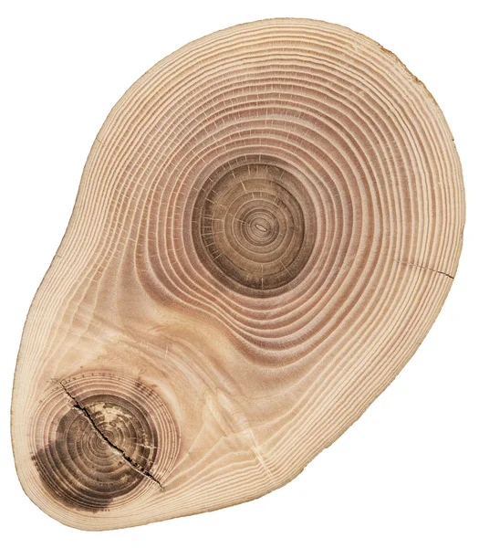 Ağaç kesme