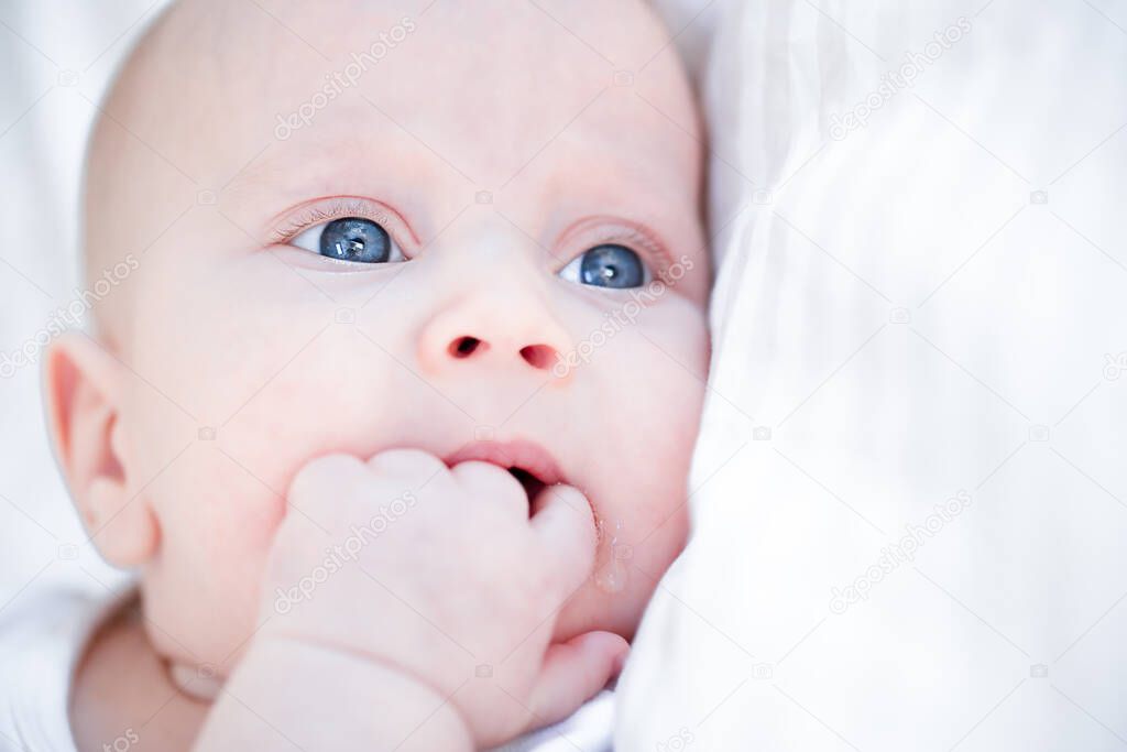 close up portrait of infant newborn baby sucking his fist 