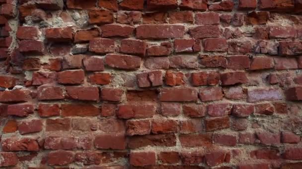 Mur de briques rouges de vieilles briques orange fissurées grunge — Video