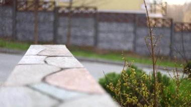 taş desenli çit çiti