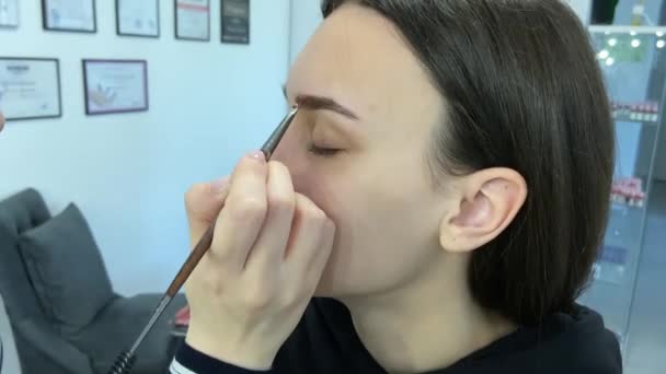 Farbton auf Augenbrauen im Schönheitssalon auftragen — Stockvideo