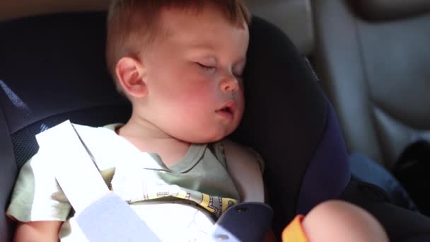 Portrait de petit garçon endormi à l'intérieur de la voiture en siège auto dans une chaude journée ensoleillée — Video