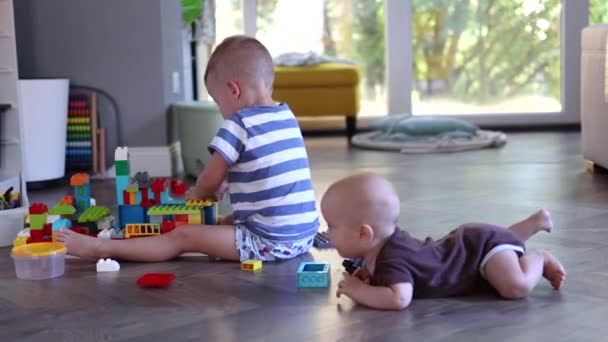 Dois irmãos bebê e criança brincando na sala de estar — Vídeo de Stock