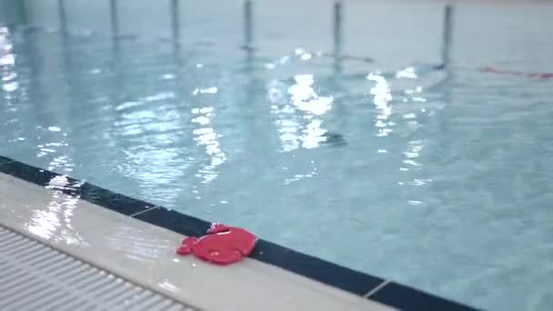 Yüzme havuzunda pohpohlanan kırmızı köpük plastik oyuncak. — Stok video