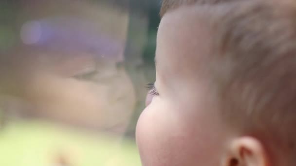 Portrait of a child boy looking through the window — Stock Video