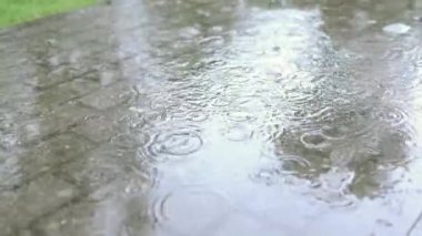 Sıcak yağmur damlaları ve su damlaları sokaktaki fayans kaldırımına çarpıyor. yakın çekim görünümü