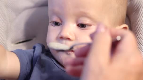 Feeding baby infant for the first time with spoon and puree mash porridge — Stock Video