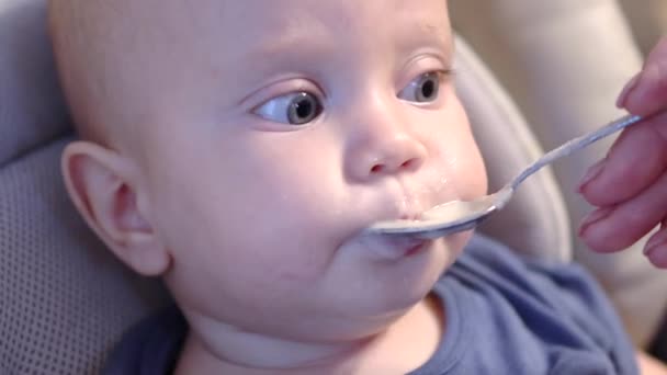 Ritratto di un neonato che mangia cibo con un cucchiaio che nutre il bambino — Video Stock