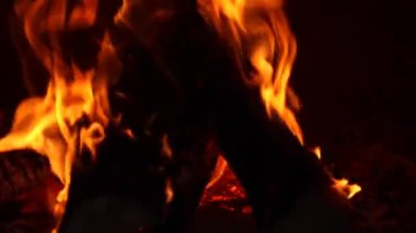 Yakacak odun kamp ateşinin yakın plan çekimi alevler içinde yanıyor.