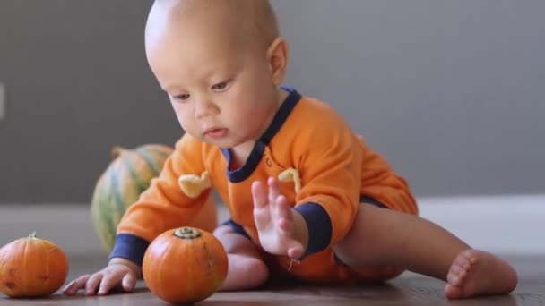 Portrét kojence sedícího na dřevěné podlaze hrající si s oranžovými halloween dýněmi — Stock video