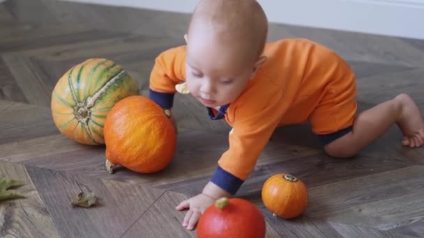 オレンジと緑のカボチャで木の床を這うハロウィーンの衣装の赤ちゃん — ストック動画