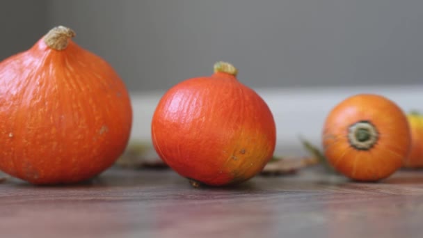 Помаранчеві гарбузи на дерев'яній підлозі Хеллоуїн або прикраса Дня подяки — стокове відео