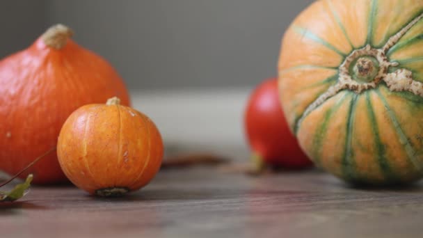 Grüne und orangefarbene kleine Kürbisse, die zu Halloween oder als Dekoration zum Erntedankfest über den Holzboden rollen — Stockvideo