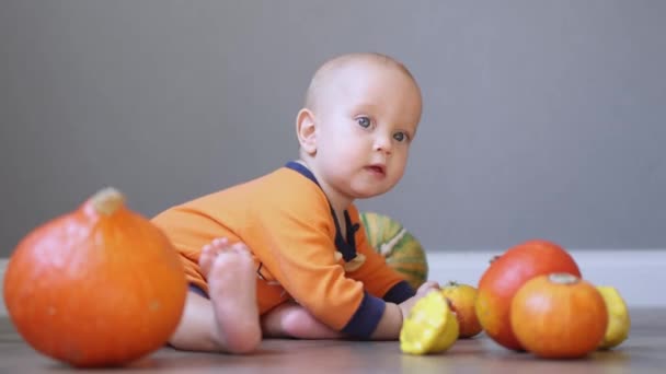 Belo bebê de olhos azuis em roupas laranja rastejando longe de abóboras — Vídeo de Stock