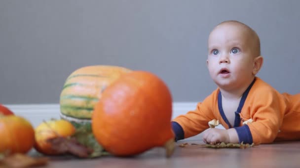 Cute infant baby in orange clothes playing on the floor with pumpkins and autumn fallen leaves — Stock Video