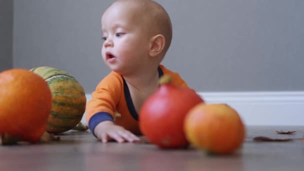 Portrait of baby with pumpkins — Stock Video