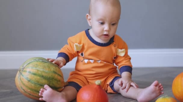 Bebé de ojos azules en traje de monstruo naranja sentado en el suelo de madera en el interior y jugando con calabazas — Vídeo de stock