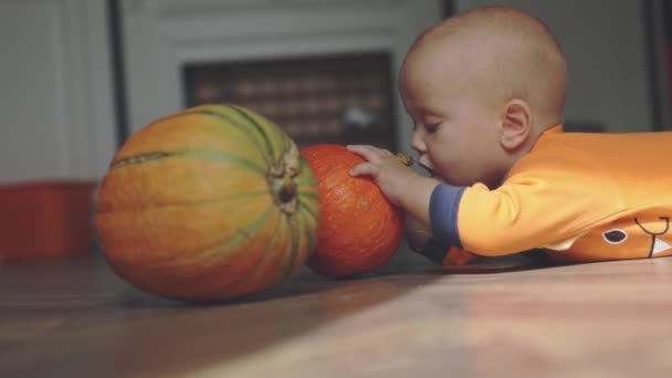Місяці дитина в помаранчевому костюмі Хеллоуїна лежить на животі намагаючись вкусити гарбуз — стокове відео