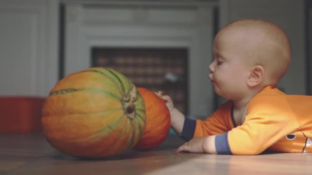 Baby in monster costume lying on stomach and playing with little orange pumpkin — Stock Video