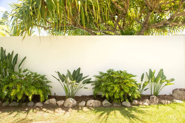 Wunderschöner Tropischer Garten Mit Bäumen Und Grünen Pflanzen — Stockfoto