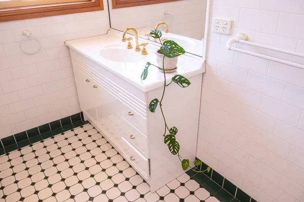 Green Plant White Pot Sink Bathroom — Stock Photo, Image