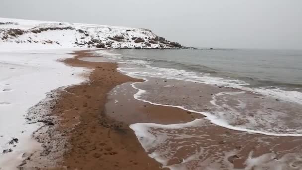 Beautiful sandy beach in snow — Stock Video