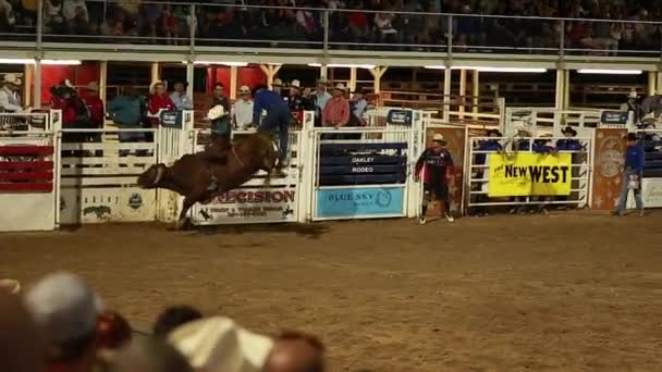 Un vaquero montando un toro grande en rodeo cámara lenta — Vídeos de Stock