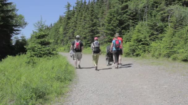 Familie wandelen door forrest — Stockvideo