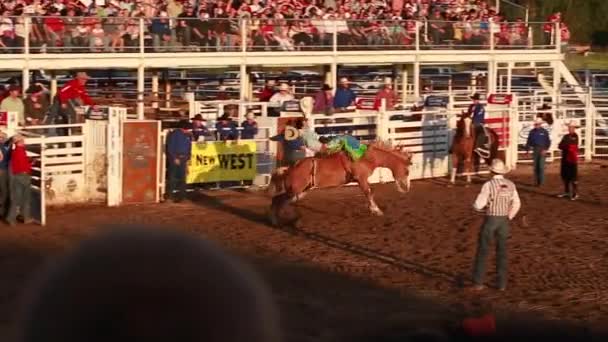 Cowboys team slaňování na rodeo — Stock video