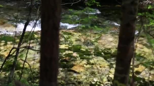 美しい青い水の湖 — ストック動画
