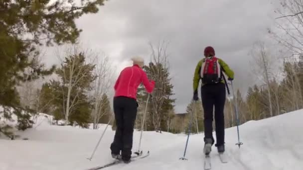 Женщины на лыжах — стоковое видео