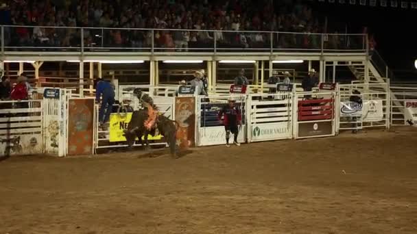 Ein Cowboy, der einen großen Bullen beim Rodeo in Zeitlupe reitet — Stockvideo