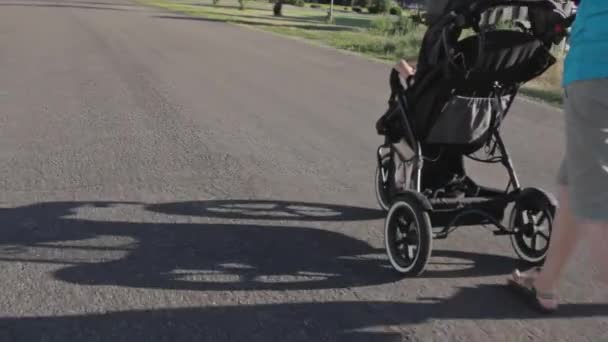 Woman pushing baby in a stroller — Stock Video