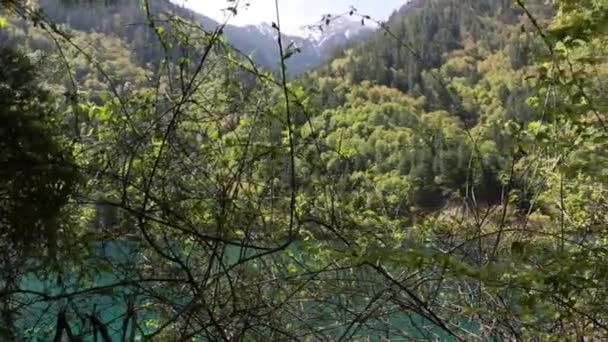 Hermoso lago de agua azul — Vídeo de stock