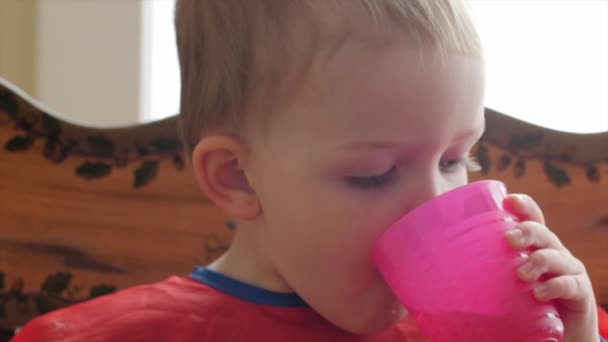 Tout-petit garçon manger son petit déjeuner — Video