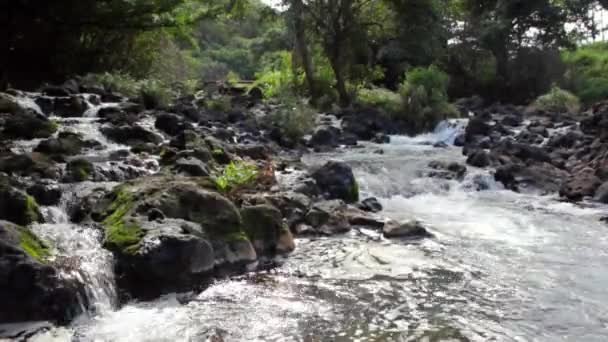 Wyczyść górski potok — Wideo stockowe