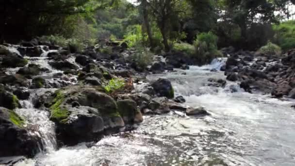 Fluxo de montanha limpo — Vídeo de Stock