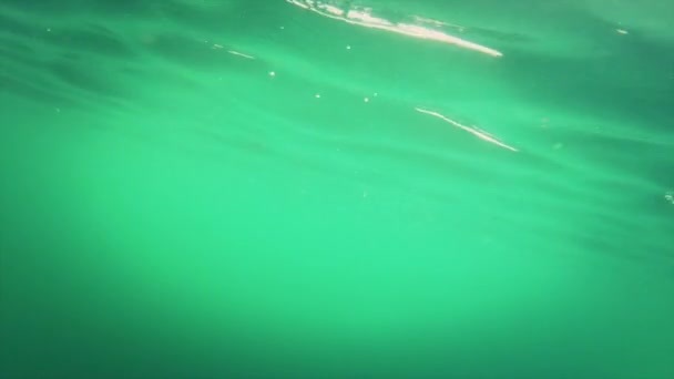 Casiers à homards sortant de l'océan — Video