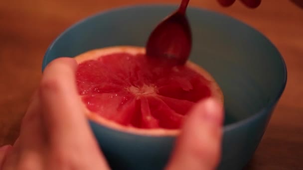 Äta en grapefrukt i en skål — Stockvideo