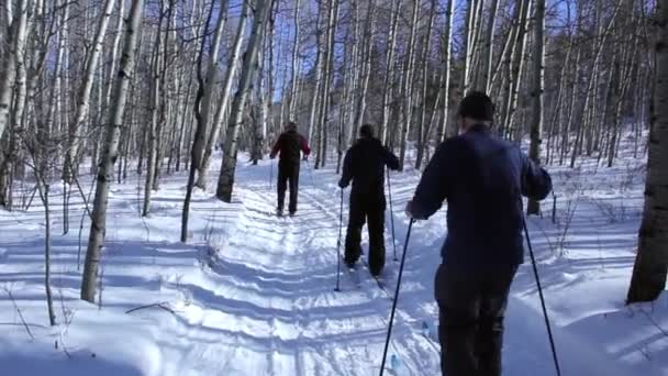 Ski de fond de groupe — Video