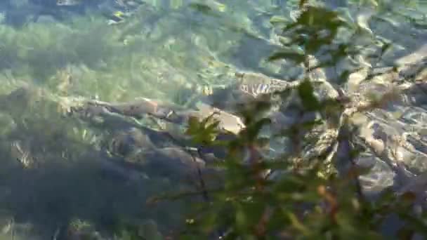 Sjön i vacker Juizhaigou dal — Stockvideo