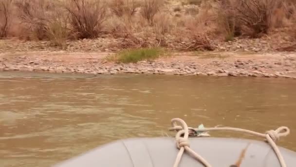 Família remando um rio — Vídeo de Stock